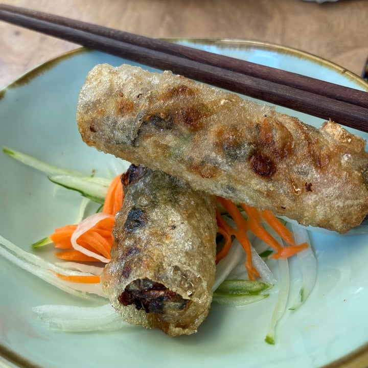 photo of The Kind Bowl spring roll shared by @hollya113 on  18 Apr 2021 - review