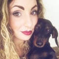 fcarlevalis @fcarlevalis profile image