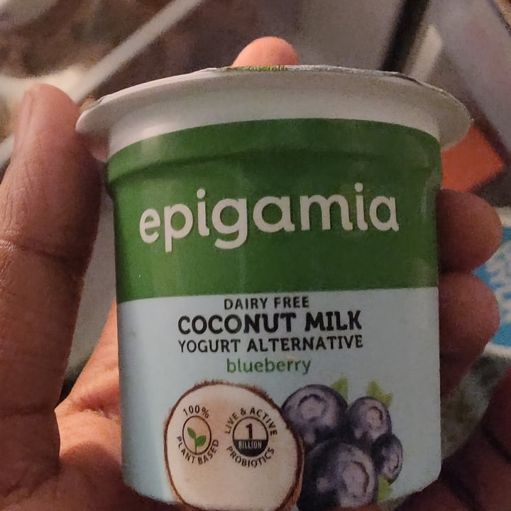 photo of Epigamia Coconut Milk Yoghurt Blueberry shared by @vineethvincent on  16 Dec 2020 - review