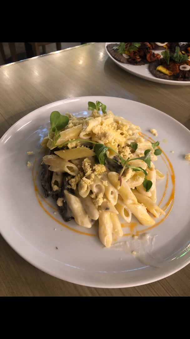 photo of Vegan Inc. Miyana Polanco Almond cream and wild mushroom truffle pasta shared by @sarahbrandow on  20 Jul 2019 - review