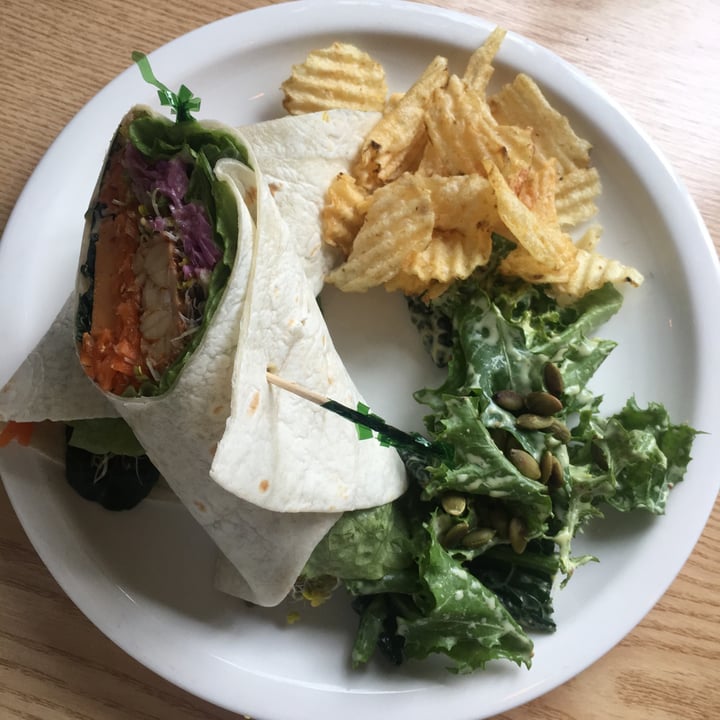 photo of Plant Café & Kitchen Tempeh rainbow wrap shared by @melbee on  12 May 2020 - review