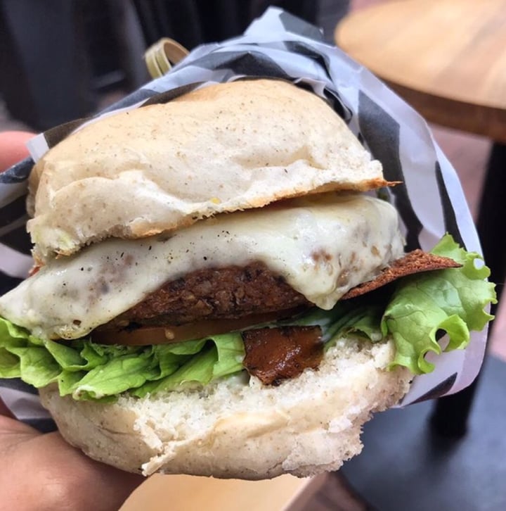 photo of Cafe Leon Interior 6 Local 3 Paseo Del Faro Hamburguesa vegan shared by @whynotvegan on  29 Aug 2019 - review