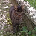 moky @moky profile image
