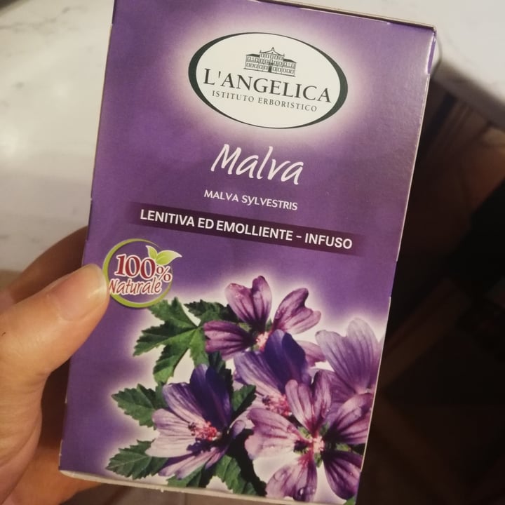 photo of L'angelica malva shared by @teadante on  14 Dec 2021 - review