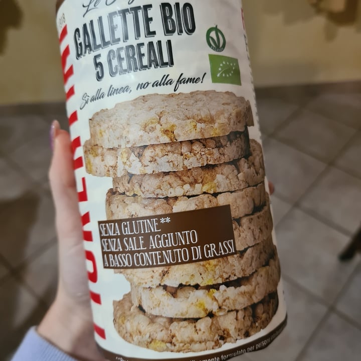 photo of Fiorentini Gallette Bio 5 Cereali shared by @alessiad on  09 Dec 2022 - review
