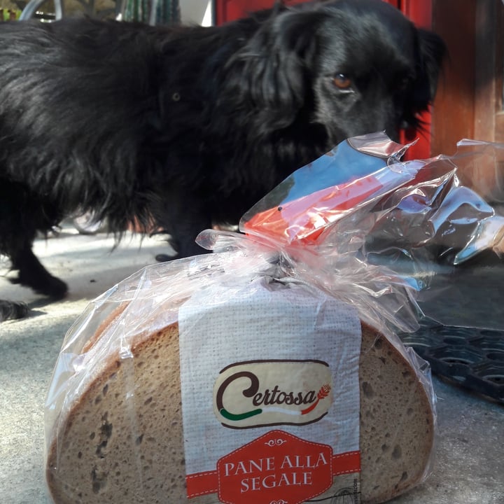 photo of Certossa Pane Alla Segale shared by @giuliacarosio on  09 Oct 2021 - review