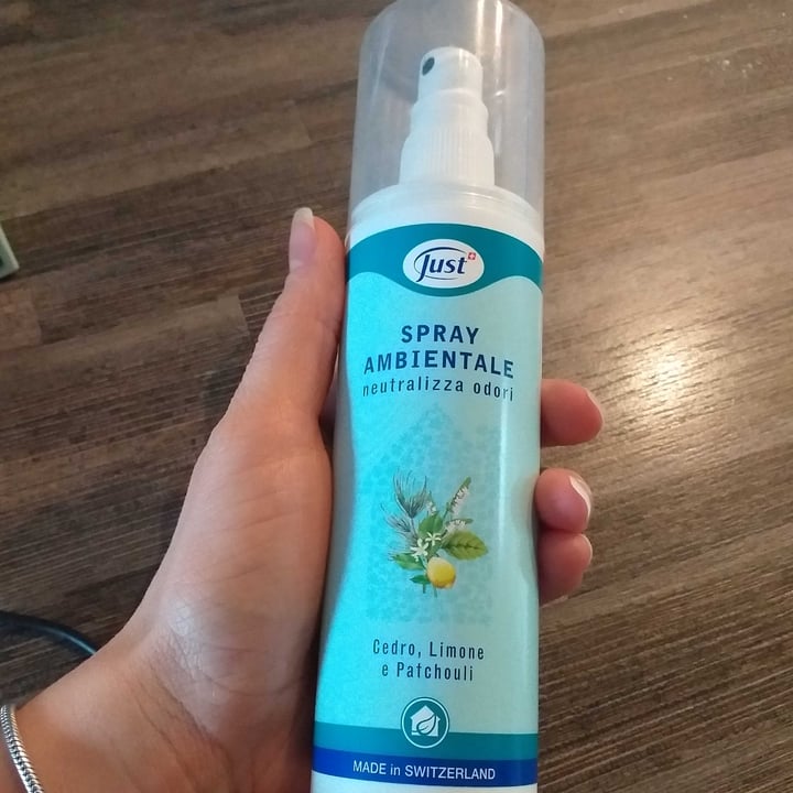 Just Spray ambientale Review