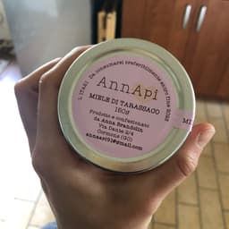 annapi