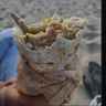 Piatto Matto: Falafel & Shawarma