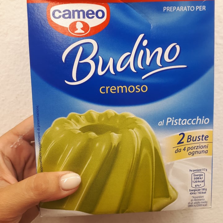 photo of Cameo Budino Al Pistacchio shared by @paolinasw on  27 Jun 2022 - review