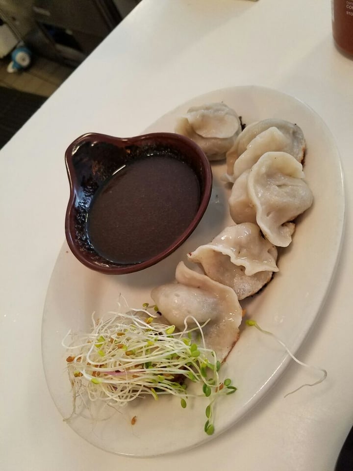 photo of Peacefood Pan-seared Shanghai Style Dumplings shared by @joyrose on  16 Jun 2019 - review