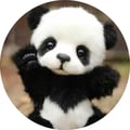 maguii @maguii profile image