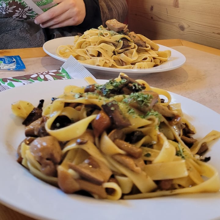 review photo of Ristoro Belvedere - Cima Fertazza Tagliatelle ai funghi porcini shared by @michinanni on 13 Mar 2022 - review