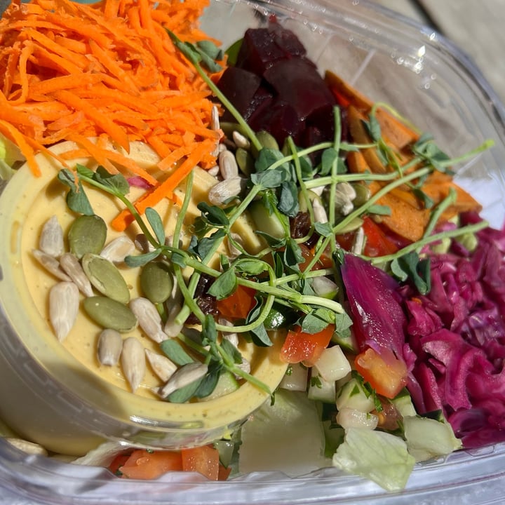 photo of The Green Moustache Organic Café Buddah Bowl shared by @veganmika on  22 Jul 2022 - review