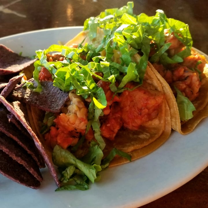 review photo of Lotus Cafe & Juice Bar Tempeh Tacos shared by @chickpeaandlotus on 27 Sep 2020 - review
