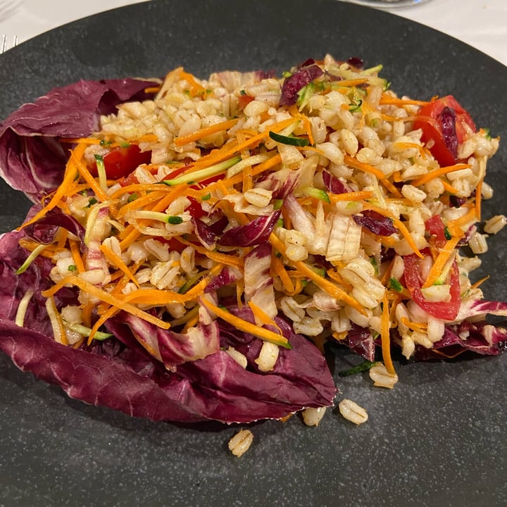 review photo of Ristorante La Scuderia insalata di orzo con verdure shared by @maty96 on 05 Aug 2022 - review