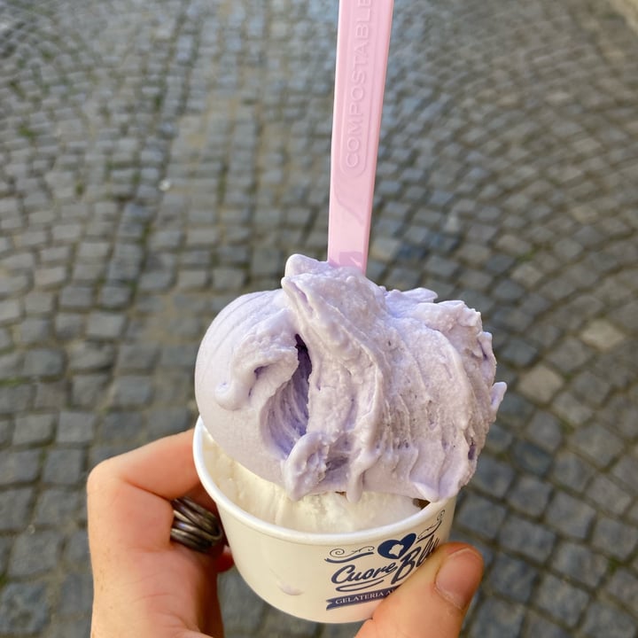 photo of Gelateria Cuore Blu gelato viola e stracciamenta shared by @giadabaldi on  15 Sep 2022 - review