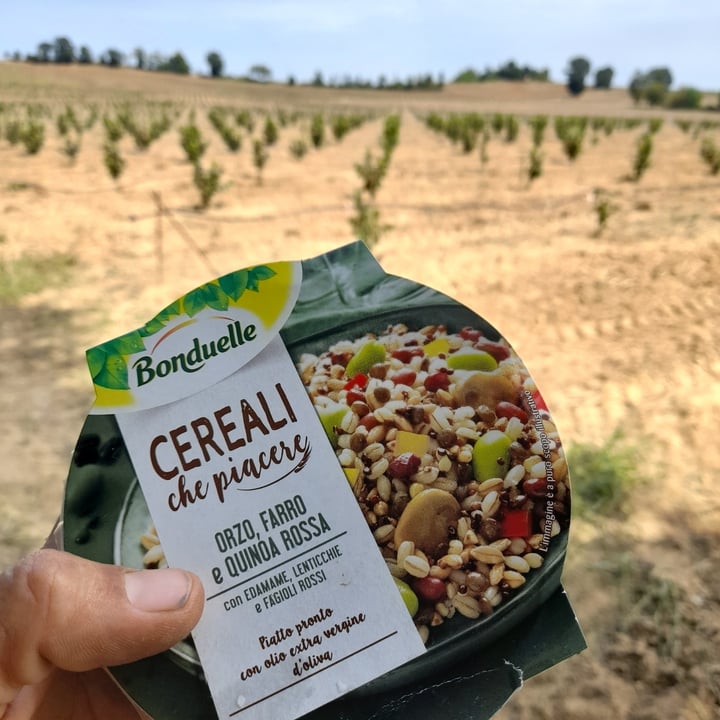 photo of Bonduelle Cereali che piacere! shared by @lorenzovittori on  19 Aug 2021 - review