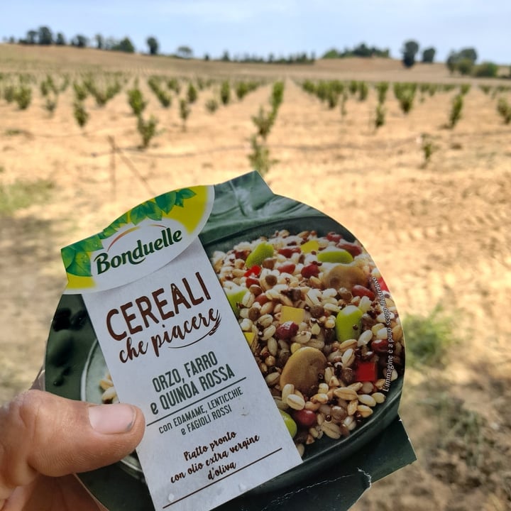 review photo of Bonduelle Cereali che piacere! shared by @lorenzovittori on 19 Aug 2021 - review
