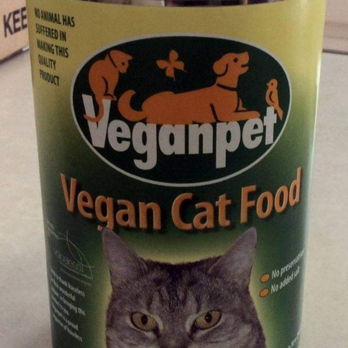 Veganpet cats Vegan pet food latita Reviews abillion