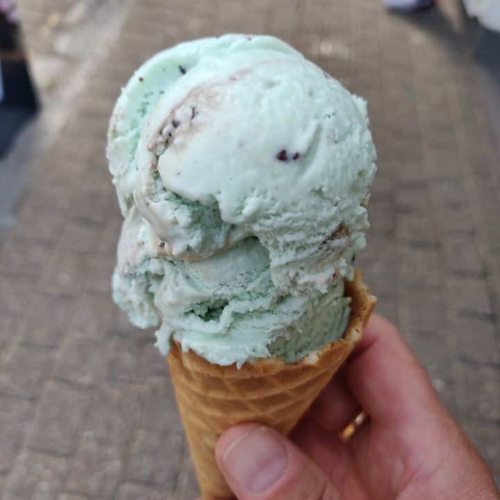 photo of The Original Fecci's Ice Cream Parlour Mint chop chip ice cream shared by @andrewapm on  10 Sep 2022 - review