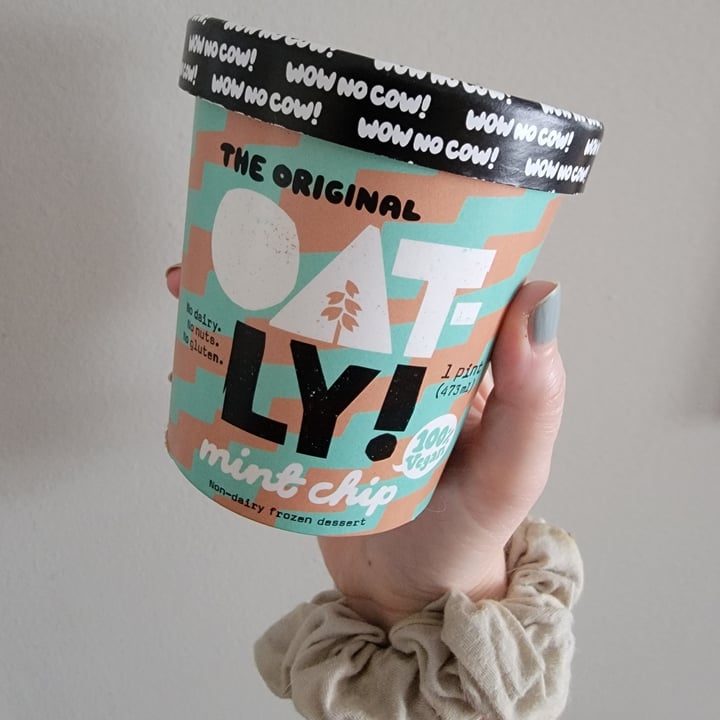 photo of Oatly Mint Chip Non-dairy Frozen Dessert shared by @joyfullforgood on  13 Aug 2021 - review