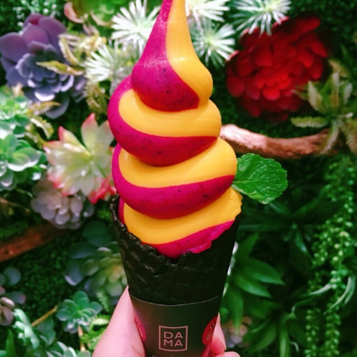 review photo of DAMA Vegan ice-cream shared by @veganyogiwendy on 27 Jun 2020 - review