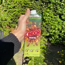 cindor