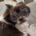 ysagellert @ysagellert profile image