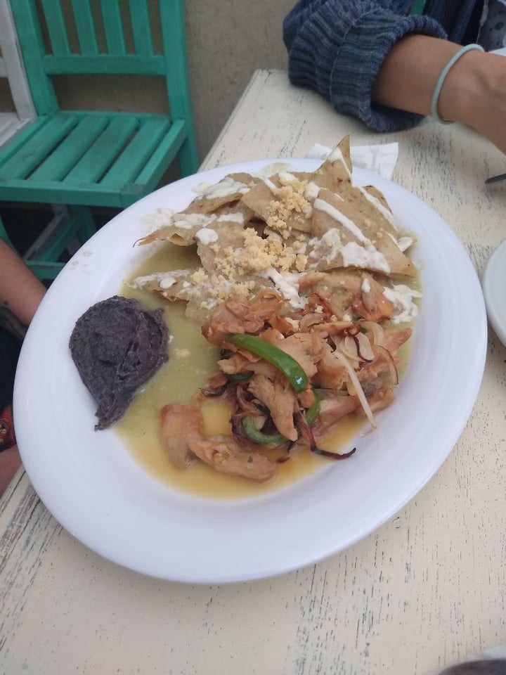 photo of Restaurant tierra mestiza Chilaquiles Verdes con Crema y Queso de Garbazo shared by @inezaduran on  24 Mar 2020 - review