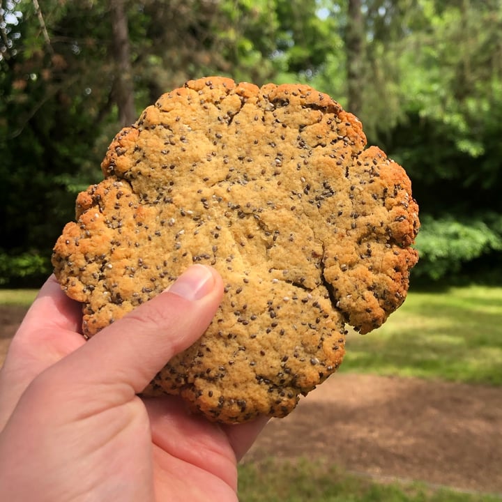 photo of SnacksRLife Big Protein Cookie - Lemon Chia Seed shared by @der-minniefisch on  03 Jun 2021 - review