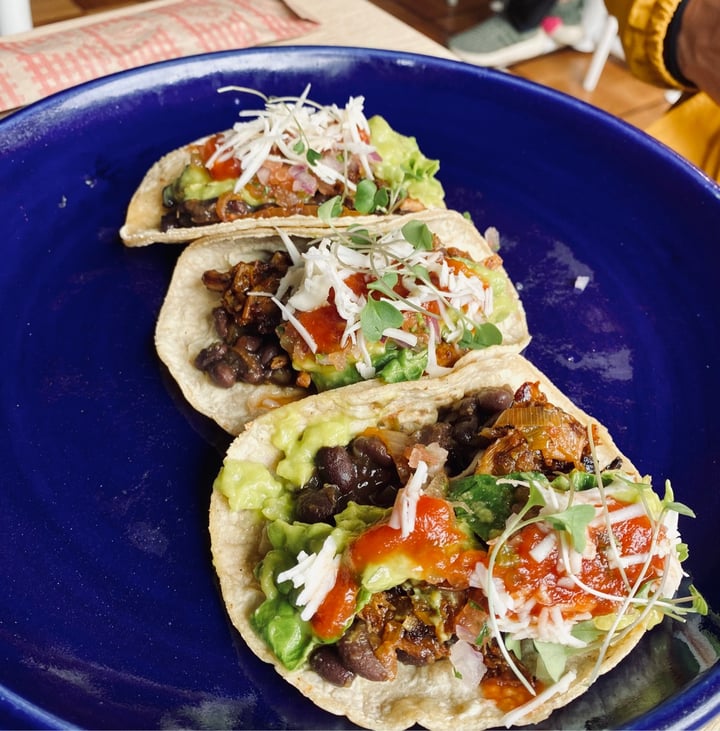 photo of Restaurante Vegano Cardamomo Tacos - Menu Del Día shared by @linis on  02 Aug 2021 - review