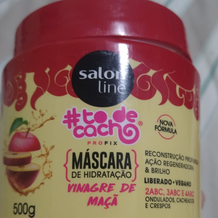 photo of Salon line Máscara de hidratação Vinagre de Maçã shared by @gilsonpereira on  10 May 2022 - review