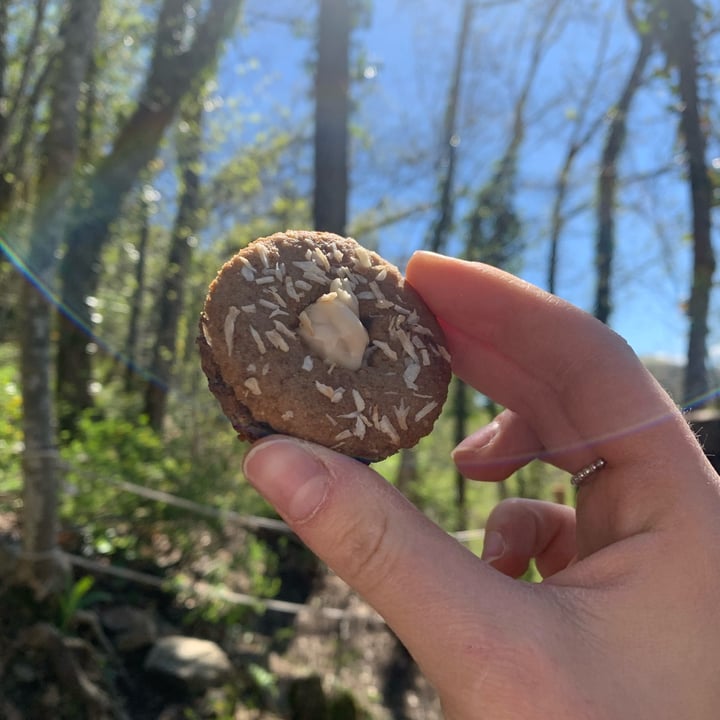 photo of AltoForno - Impasti Agresti Biscotto Vegan Al Cocco shared by @ilariamercury on  10 Apr 2022 - review