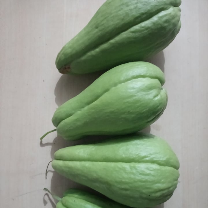 photo of chuchu Chuchu Legume shared by @thetheus on  31 May 2022 - review
