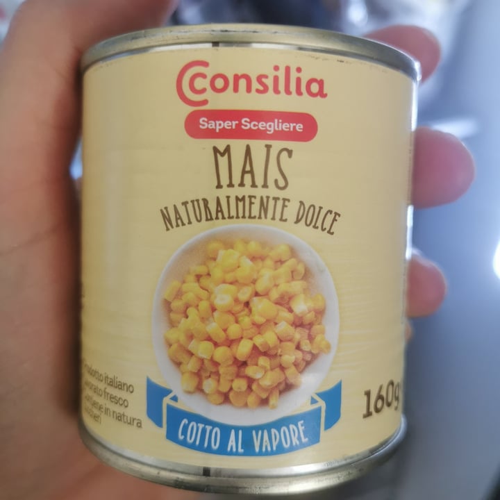 photo of Consilia Mais shared by @terevet on  22 Jul 2022 - review