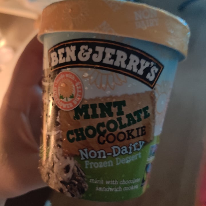 photo of Ben & Jerry's Mint Chocolate Cookie Non-Dairy Frozen Dessert shared by @lofiamri on  28 Jun 2021 - review