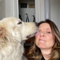 alicelovestheanimals @alicelovestheanimals profile image
