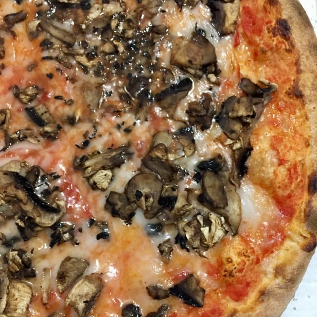 Photo of the dish “Pizza Rossa Con Funghi”