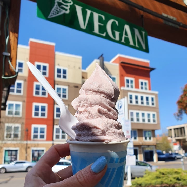 photo of Viva! Vegetarian Grill Soft Serve shared by @anistavrou on  09 Apr 2021 - review