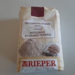 Rieper