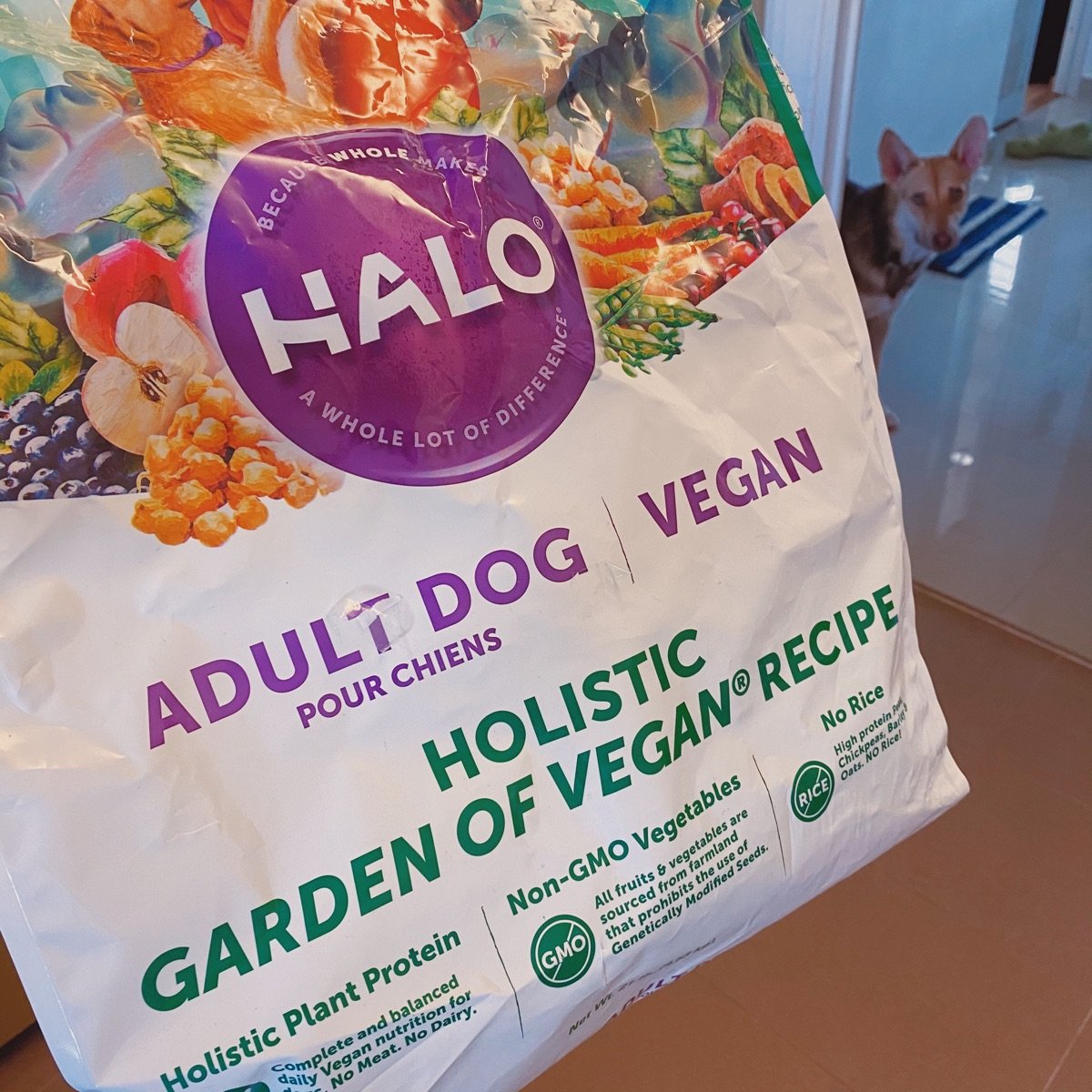 Halo discount vegan food