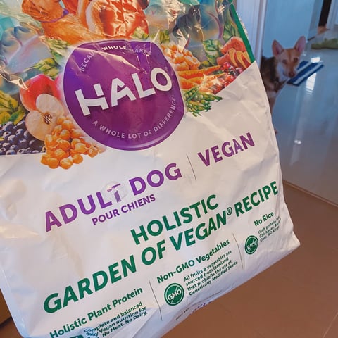 Halo vegan canned dog food cheap