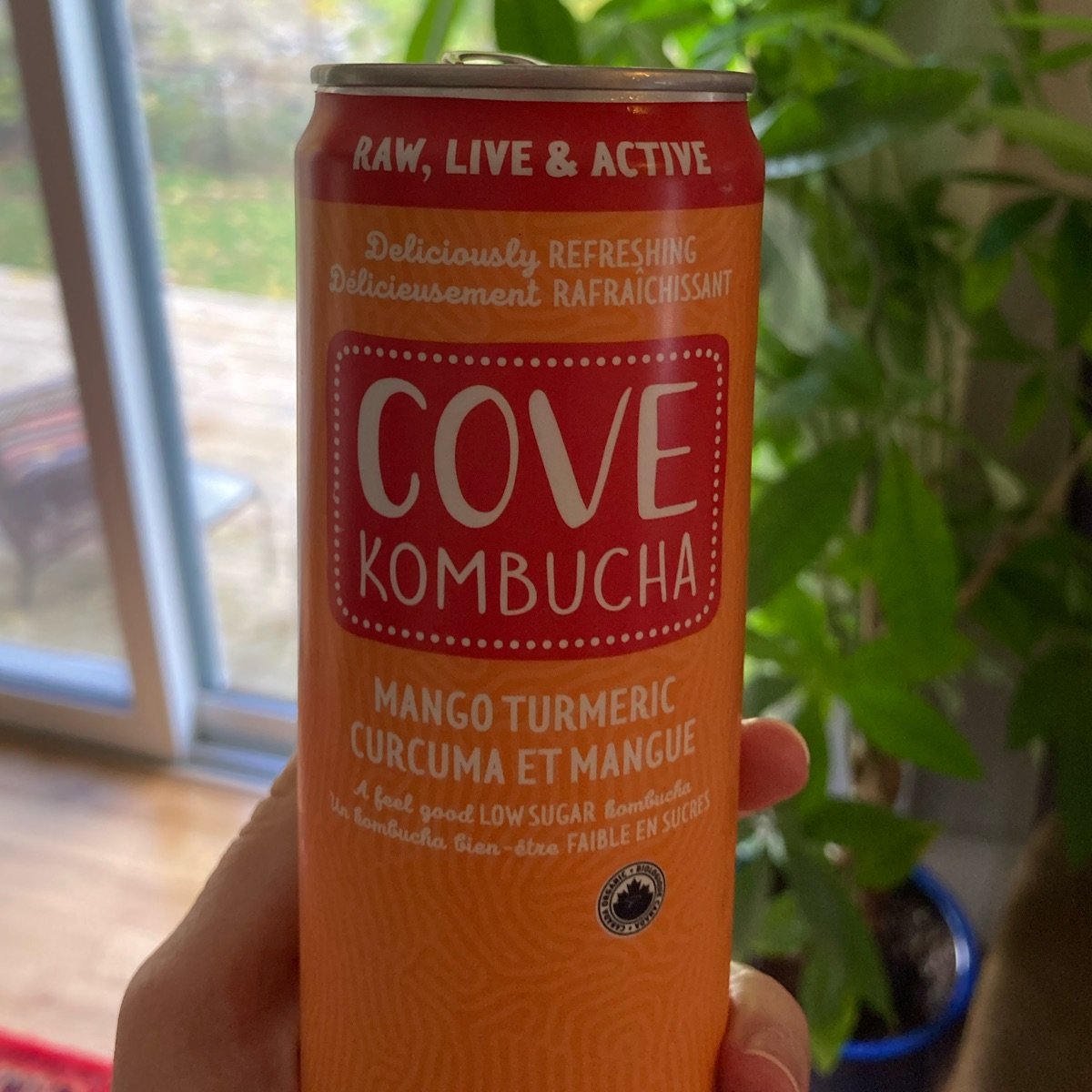 Cove Kombucha Mango Turmeric Reviews abillion