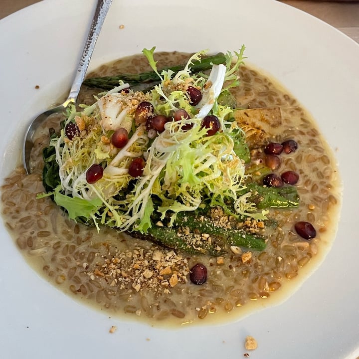 photo of Max Pett Risotto shared by @elenina on  27 Jul 2022 - review