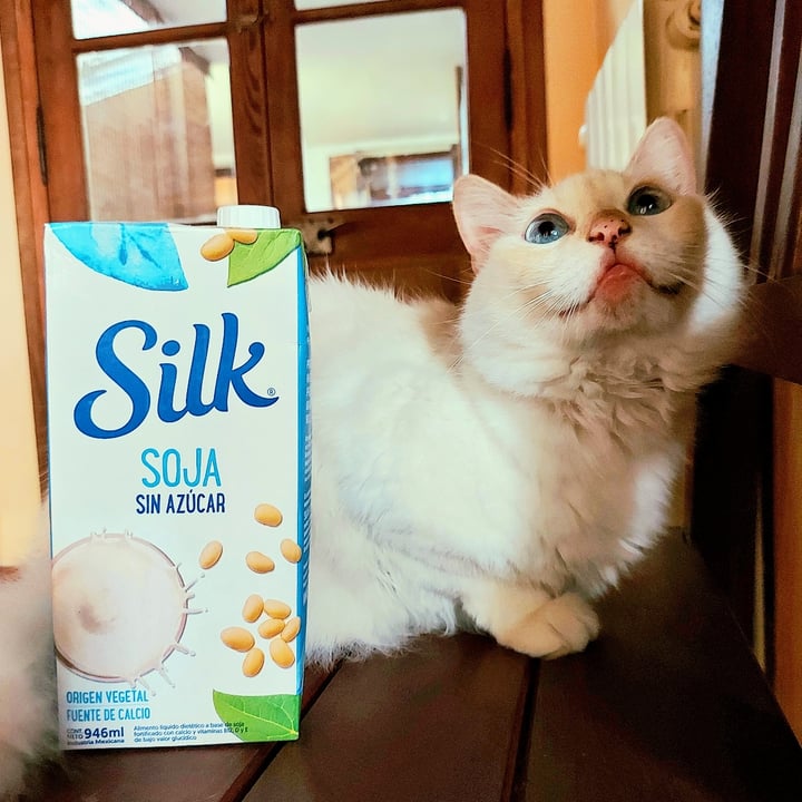 photo of Silk Soja Sin Azúcar shared by @sofiadepaoli on  13 May 2021 - review