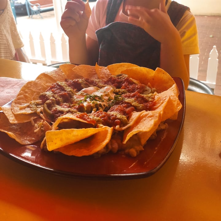 photo of Montezuma's Mexican Restaurant & Bar - North Adelaide, SA "Full" Vegan Nacho's shared by @karoth on  03 Jan 2021 - review