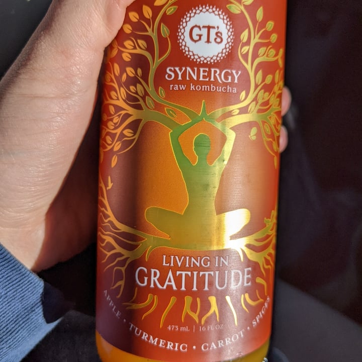 photo of GT’s Living Foods Fall Edition Synergy Raw Kombucha Living in Gratitude shared by @wayfaringlass on  20 Oct 2022 - review