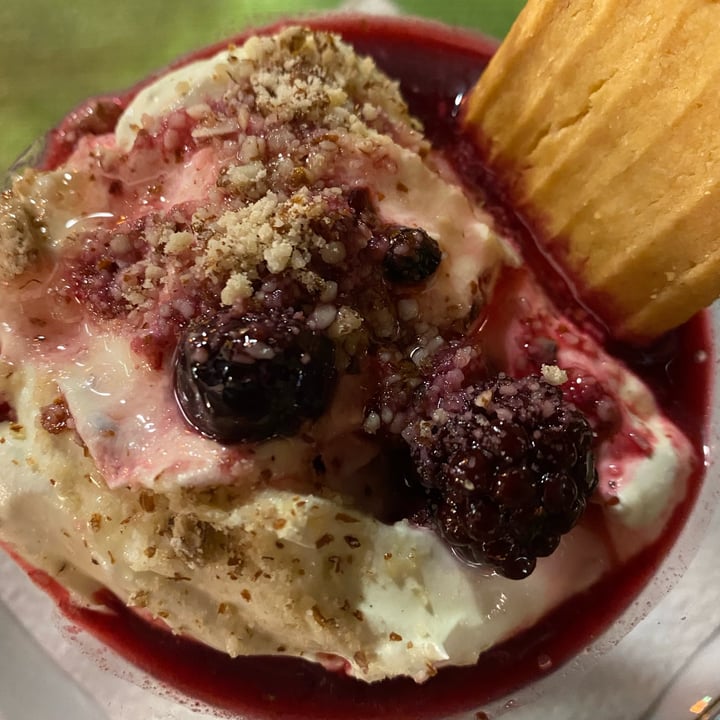 review photo of Hotel Sylva & RistoVegan Cremoso con frutti di bosco shared by @giuliasala on 16 Dec 2021 - review