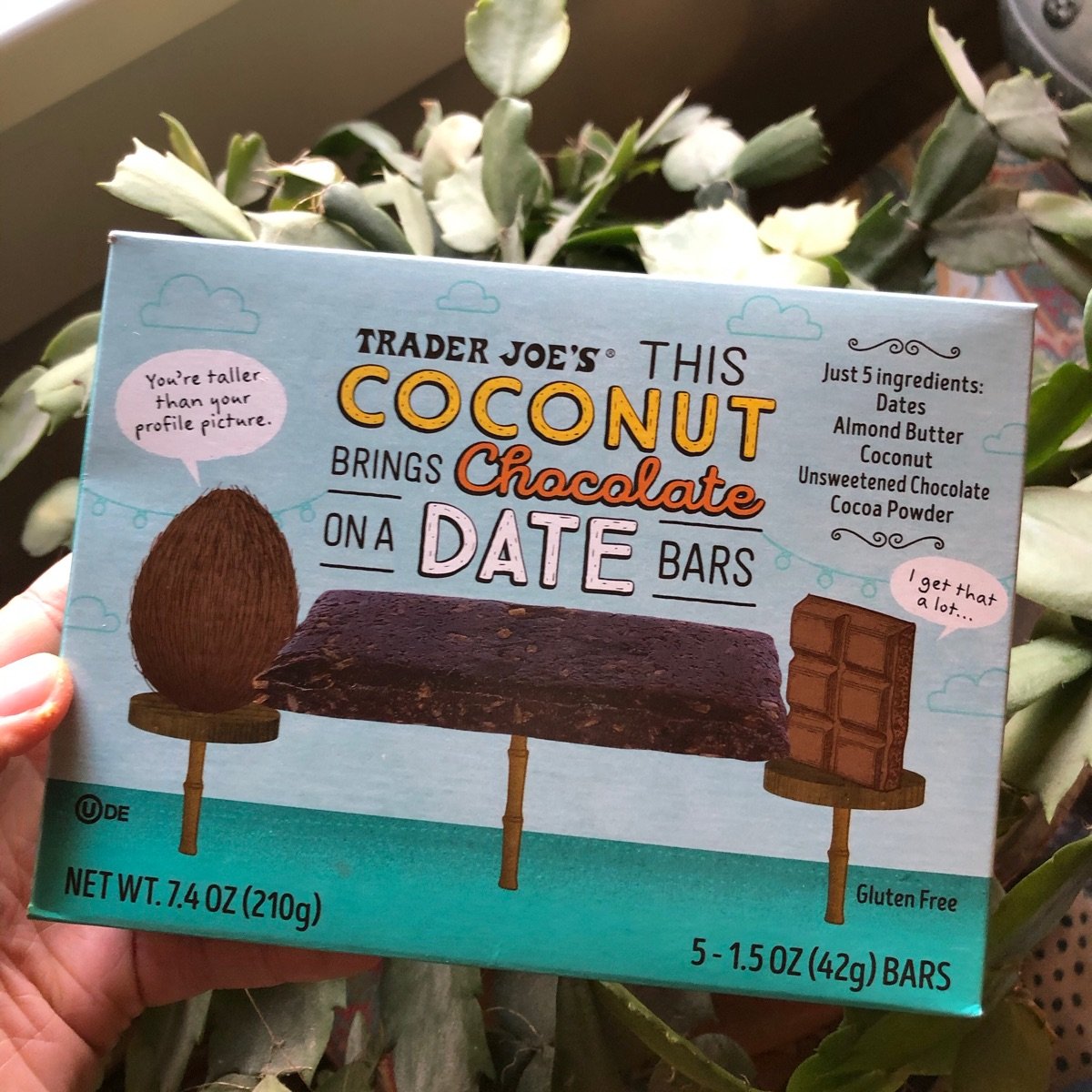 Trader Joe's This Coconut Brings Chocolate on a Date bars Reviews